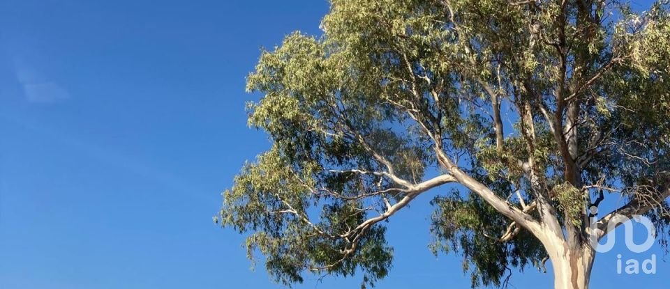 Terreno rústico em Safara e Santo Aleixo da Restauração de 8 000 000 m²