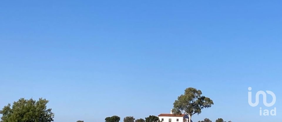 Terreno rústico em Safara e Santo Aleixo da Restauração de 8 000 000 m²