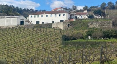 Farm T3 in Fontelas of 1,020 m²