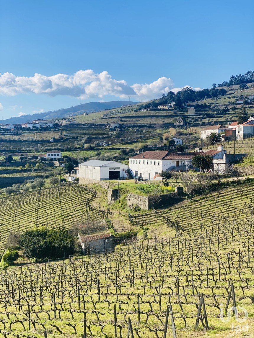 Quinta T3 em Fontelas de 1 020 m²