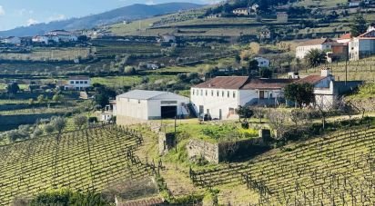 Farm T3 in Fontelas of 1,020 m²