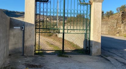 Farm T3 in Fontelas of 1,020 m²