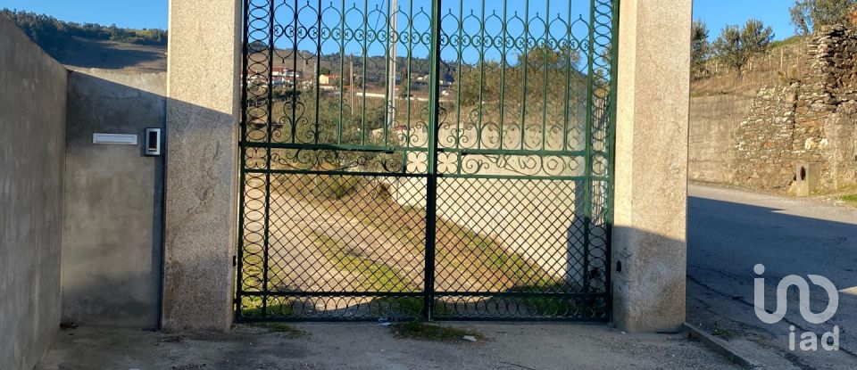 Quinta T3 em Fontelas de 1 020 m²