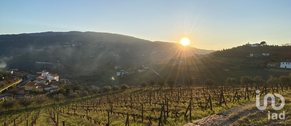 Quinta T3 em Fontelas de 1 020 m²