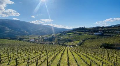 Farm T3 in Fontelas of 1,020 m²