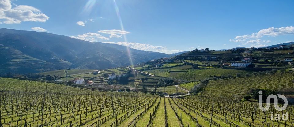 Quinta T3 em Fontelas de 1 020 m²