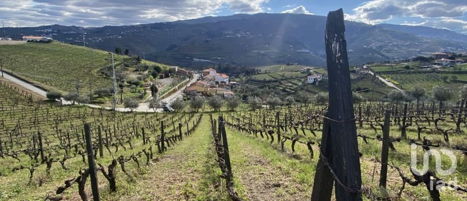 Quinta T3 em Fontelas de 1 020 m²