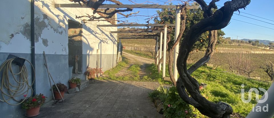 Quinta T3 em Fontelas de 1 020 m²