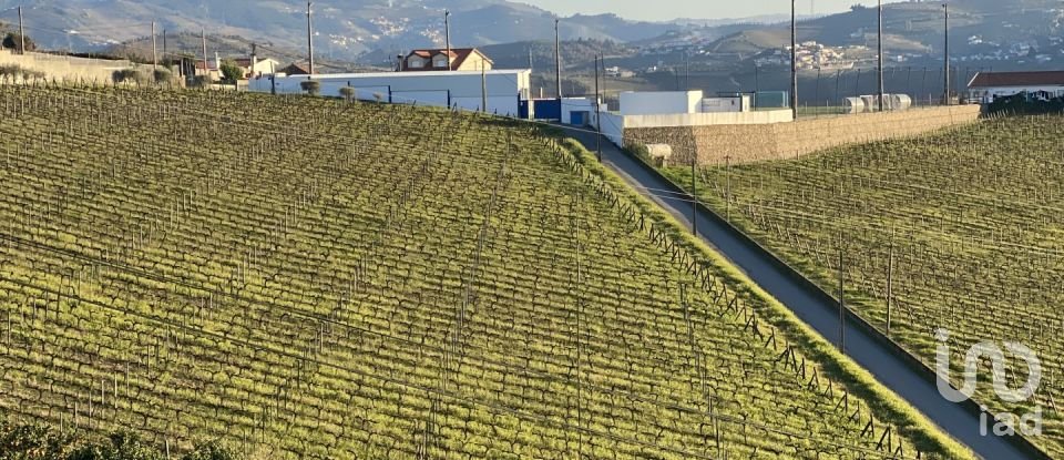 Quinta T3 em Fontelas de 1 020 m²