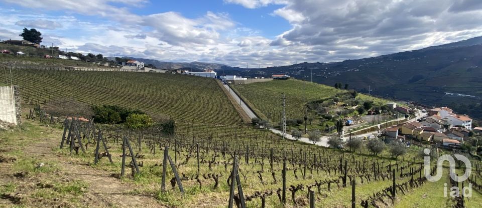 Quinta T3 em Fontelas de 1 020 m²