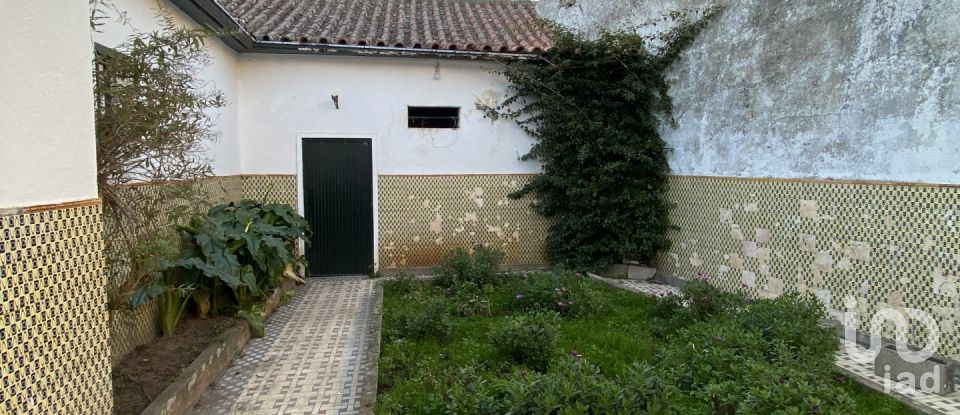 Quinta T3 em Fontelas de 1 020 m²