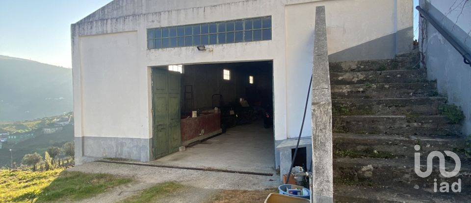 Quinta T3 em Fontelas de 1 020 m²