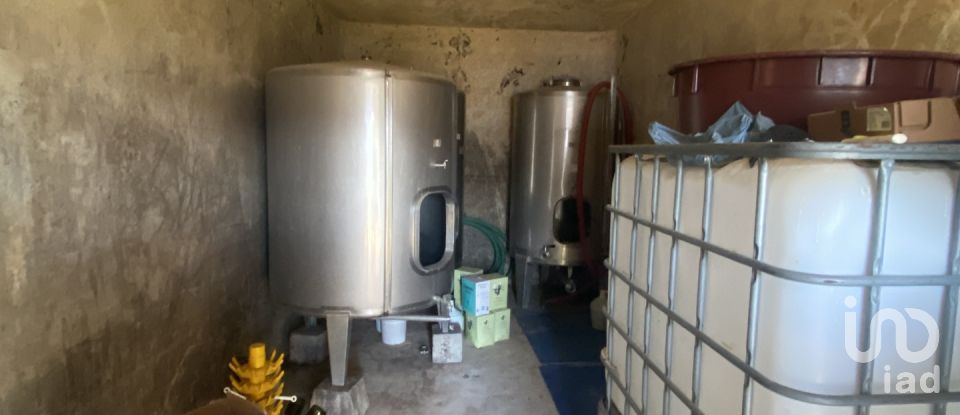 Quinta T3 em Fontelas de 1 020 m²