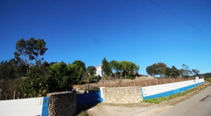 Ferme T5 à Chãos de 271 m²