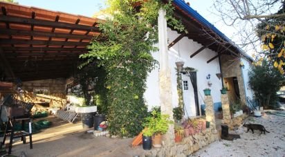 Ferme T5 à Chãos de 271 m²