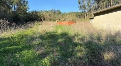 Terreno rústico em Atouguia da Baleia de 10 840 m²