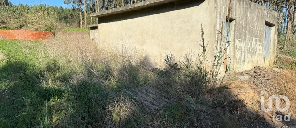 Terrain agricole à Atouguia da Baleia de 10 840 m²