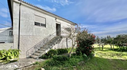 Maison traditionnelle T3 à Cavernães de 317 m²
