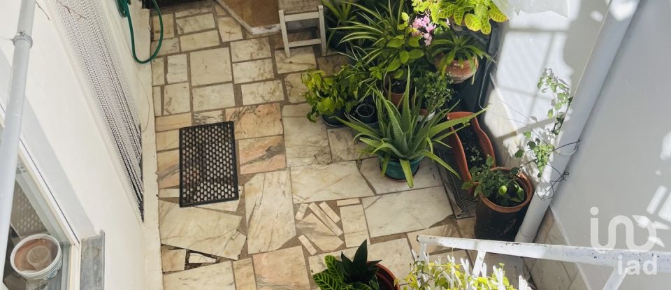 House T5 in Beja (Salvador e Santa Maria da Feira) of 458 m²