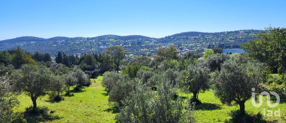 Land in São Brás de Alportel of 2,210 m²