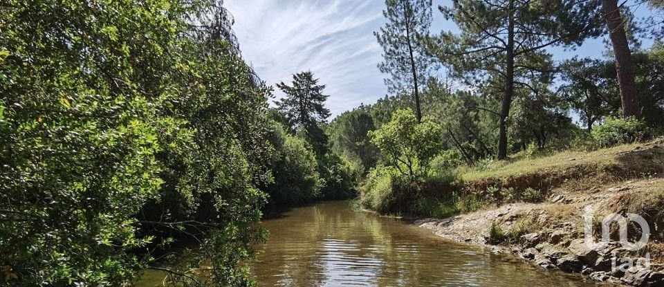 Land in São Brás de Alportel of 2,210 m²