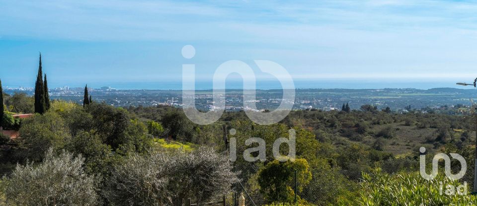 Moradia T3 em Boliqueime de 300 m²