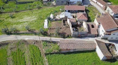 Maison T1 à Friúmes e Paradela de 42 m²