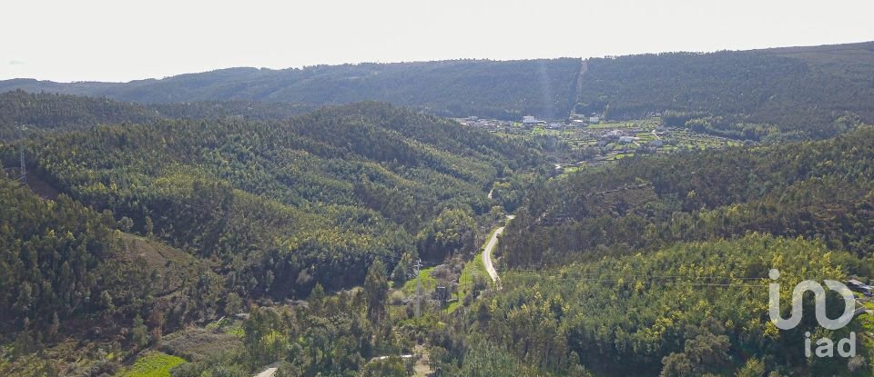 Moradia T1 em Friúmes e Paradela de 42 m²