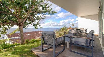 House T3 in São Martinho of 311 m²