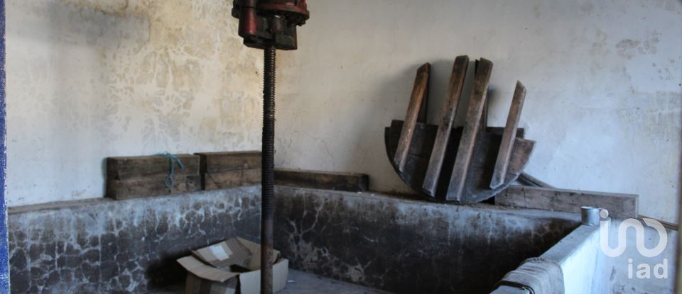 House T3 in Vimeiro of 248 m²