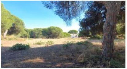 Land in Quarteira of 154,261 m²