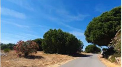 Land in Quarteira of 154,261 m²