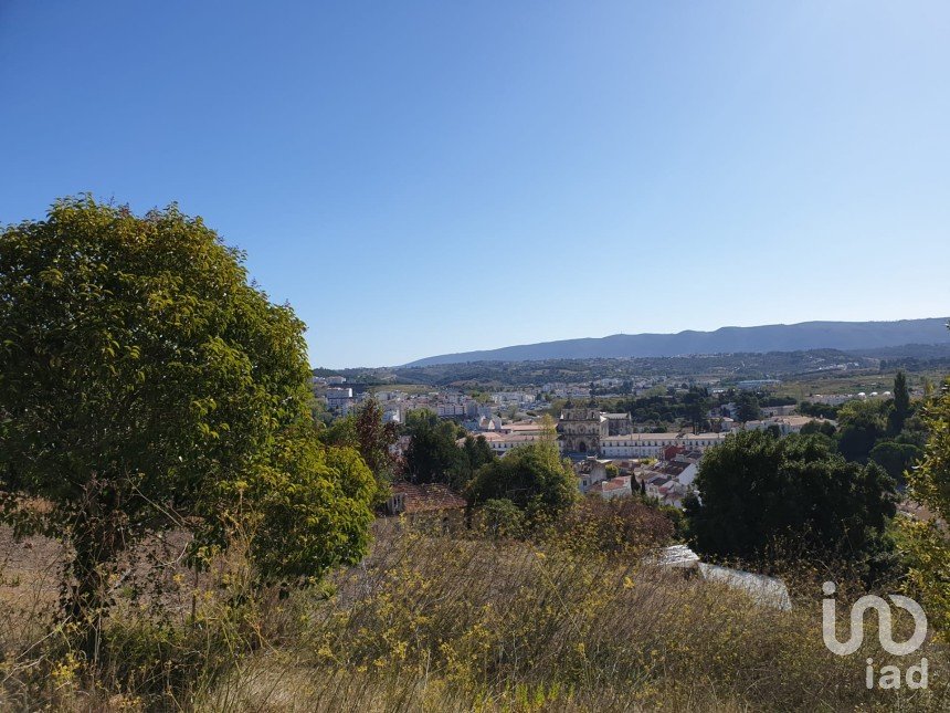 Terrain à Alcobaça e Vestiaria de 10 809 m²