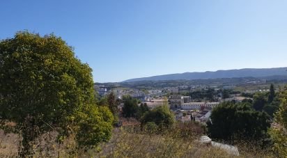 Terrain à Alcobaça e Vestiaria de 10 809 m²