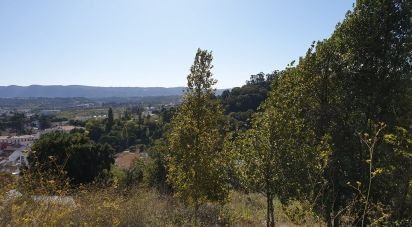 Terrain à Alcobaça e Vestiaria de 10 809 m²