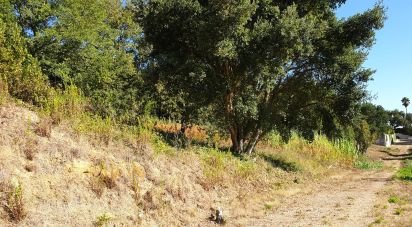 Terrain à Alcobaça e Vestiaria de 10 809 m²