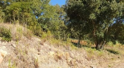 Terrain à Alcobaça e Vestiaria de 10 809 m²