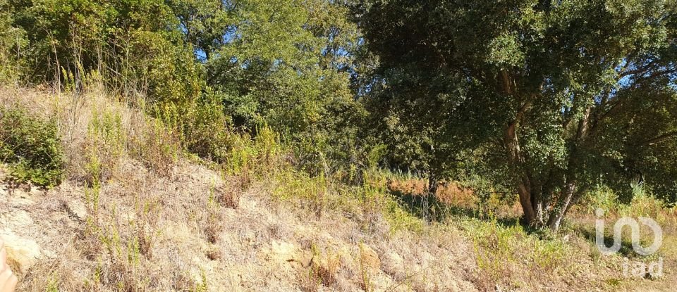 Terrain à Alcobaça e Vestiaria de 10 809 m²