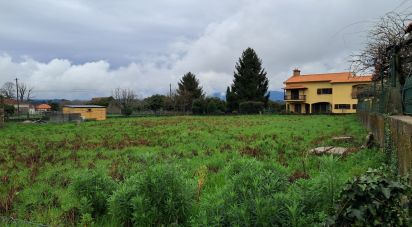 Terrain à Campos e Vila Meã de 1 214 m²