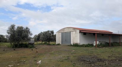 Other surface in Cano of 340 m²