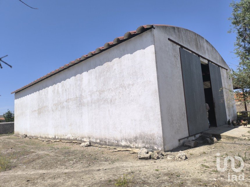 Comércio diverso em Cano de 340 m²