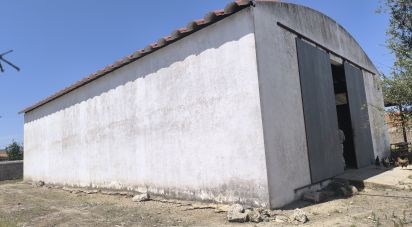 Other surface in Cano of 340 m²