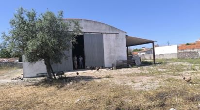 Other surface in Cano of 340 m²