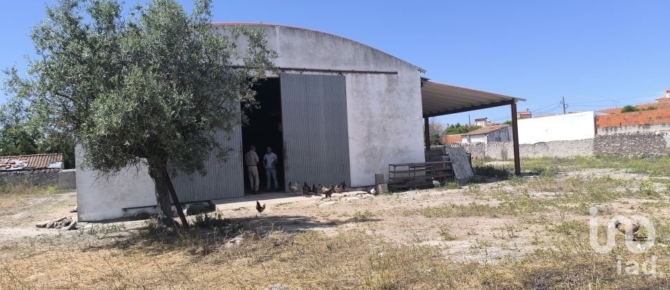 Comércio diverso em Cano de 340 m²