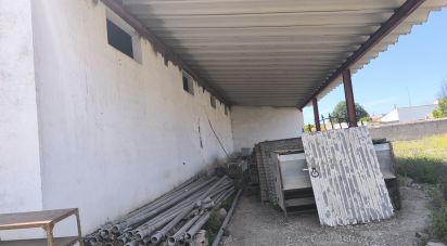 Other surface in Cano of 340 m²