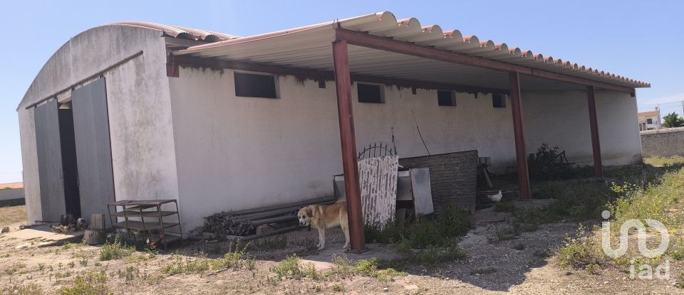 Comércio diverso em Cano de 340 m²