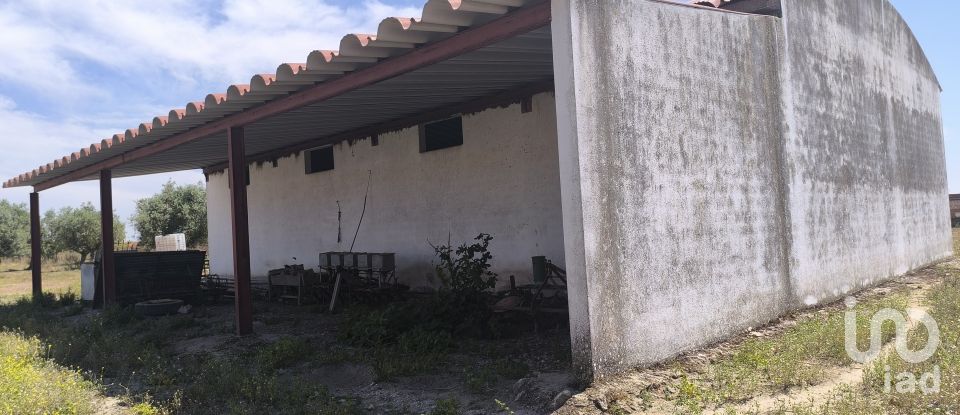 Comércio diverso em Cano de 340 m²