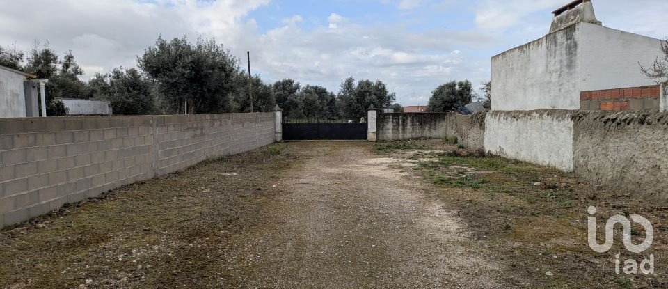 Comércio diverso em Cano de 340 m²