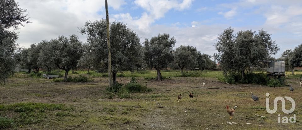 Comércio diverso em Cano de 340 m²