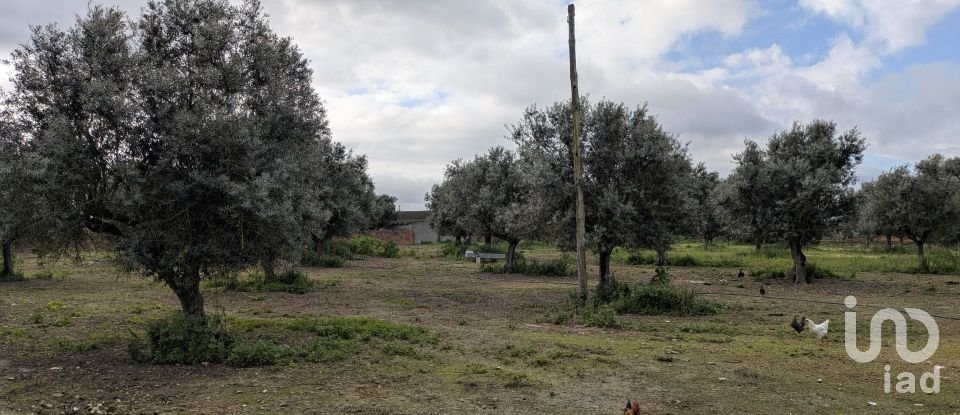 Comércio diverso em Cano de 340 m²
